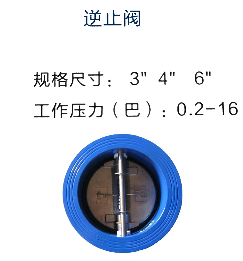 逆止閥1.jpg